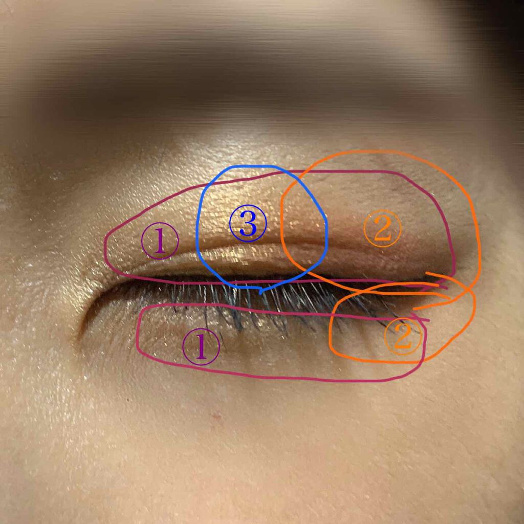 ナイストゥミーチュートランク/MAJOLICA MAJORCA/アイシャドウパレットを使ったクチコミ(3枚目)