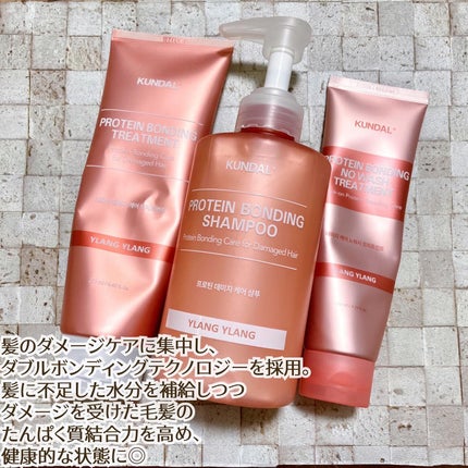 クンダル ダメージケア シャンプー/トリートメント/KUNDAL/市販シャンプーを使ったクチコミ(1枚目)