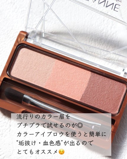 ノーズ&アイブロウパウダー/CEZANNE/パウダーアイブロウを使ったクチコミ(9枚目)