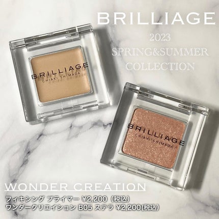 ワンダークリエイション /ブリリアージュ/単色アイシャドウを使ったクチコミ(1枚目)