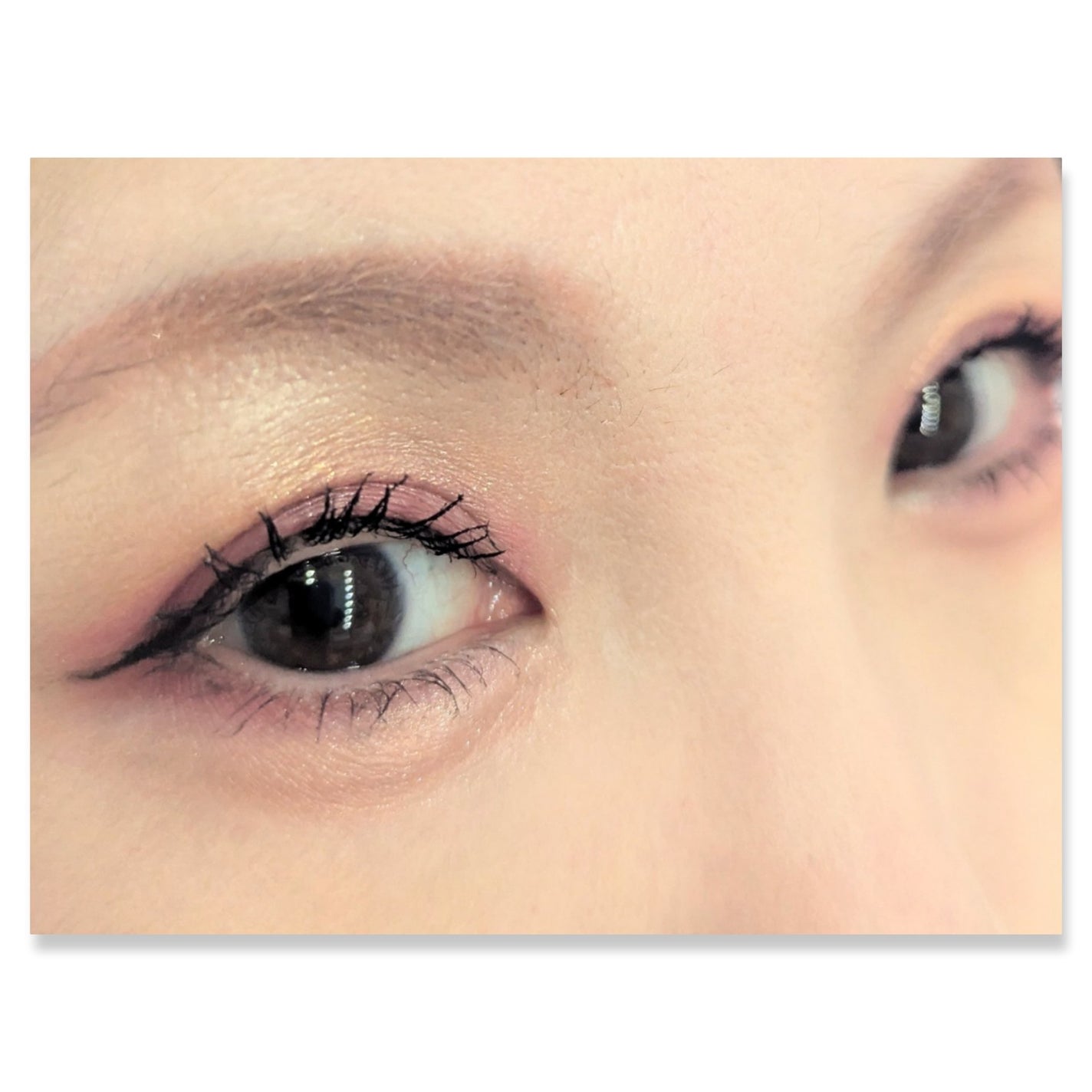 フェイスカラーパレット/チャコット・コスメティクス/アイシャドウパレットを使ったクチコミ(2枚目)