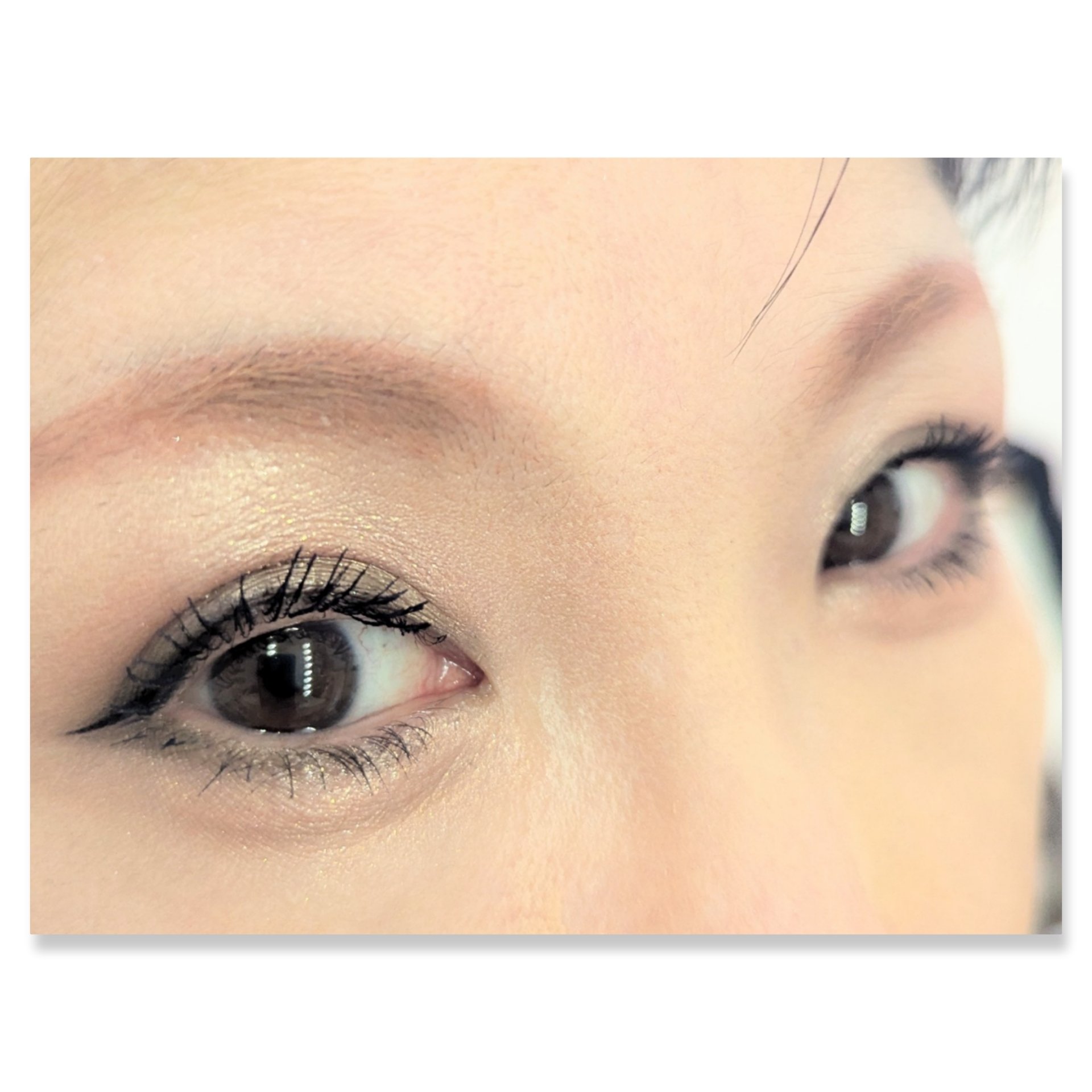 グロッシーリッチ アイズ N GR-7 ウォームカーキ系/Visée/アイシャドウパレットを使ったクチコミ（2枚目）