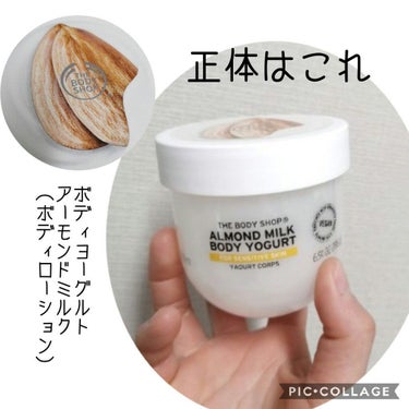 ボディヨーグルト アーモンドミルク/THE BODY SHOP/ボディローションを使ったクチコミ（2枚目）