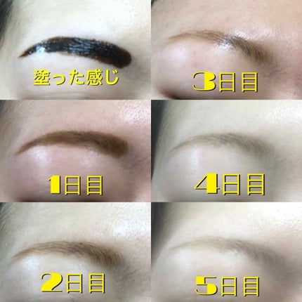 フジコ眉ティントSV/Fujiko/眉ティントを使ったクチコミ(3枚目)