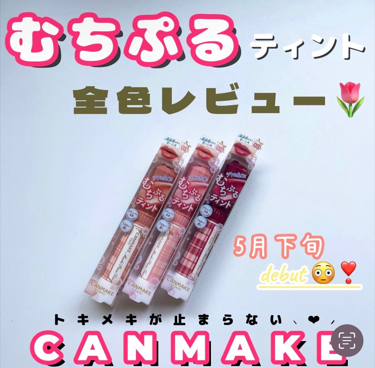 むちぷるティント/キャンメイク/リップティントを使ったクチコミ(1枚目)