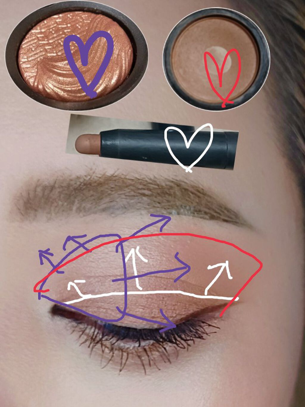 フローラ アイシャドウ/Zuii ORGANIC/単色アイシャドウを使ったクチコミ（2枚目）