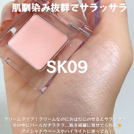 マルチカラーバリエーション シルキー SK09/チャコット・コスメティクス/単色アイシャドウを使ったクチコミ(2枚目)