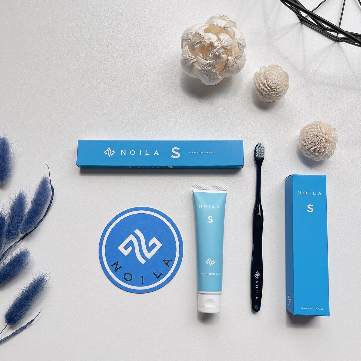 NOILA S Thoothpaste/NOILA/歯磨き粉を使ったクチコミ（1枚目）