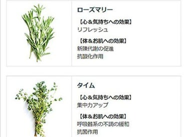 バスソルト ローズマリー＆タイムの香り 50g【旧】/クナイプ/入浴剤を使ったクチコミ（3枚目）