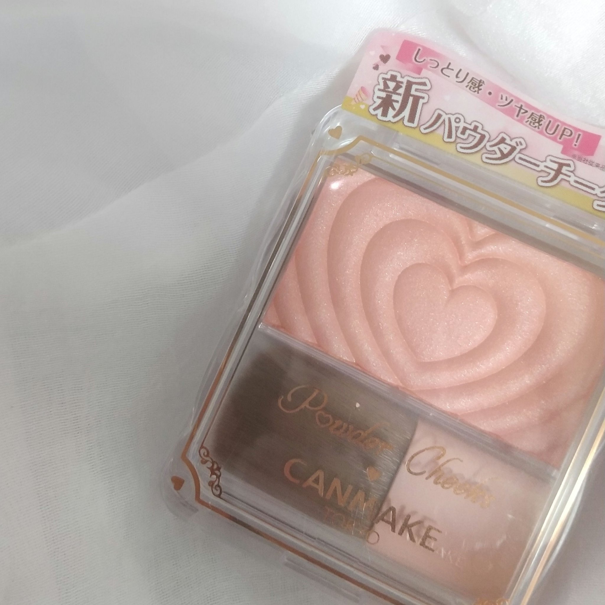 リップアーマー/KiSS/口紅を使ったクチコミ（1枚目）