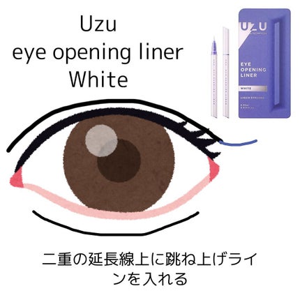 ラブ・ライナー リキッドアイライナーR3/ラブ・ライナー/リキッドアイライナーを使ったクチコミ(10枚目)
