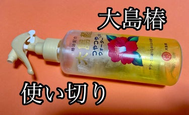 大島椿 ヘアウォーターのクチコミ「大島椿ヘアウォーターです。何度も購入し使い切りました。
ストッパー付きで、旅行にも持って行くく.....」（1枚目）