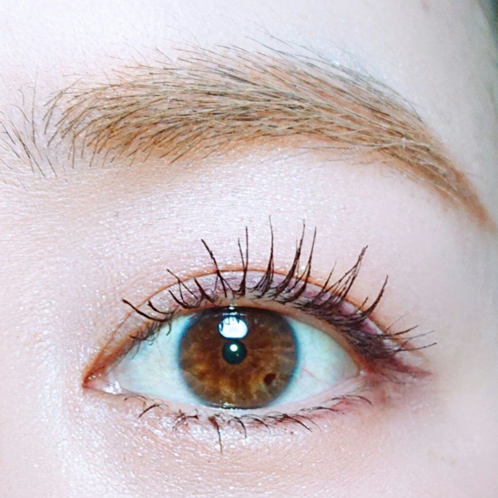 ゴクブトマスカラ/キャンメイク/マスカラを使ったクチコミ（1枚目）