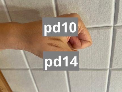 パウダー&ペンシル アイブロウEX/excel/アイブロウペンシルを使ったクチコミ(2枚目)