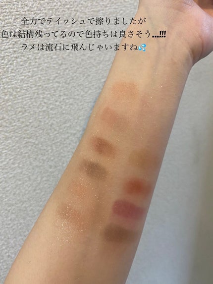 エクスプローラ12色 動物アイシャドウパレット/PERFECT DIARY/アイシャドウパレットを使ったクチコミ(7枚目)