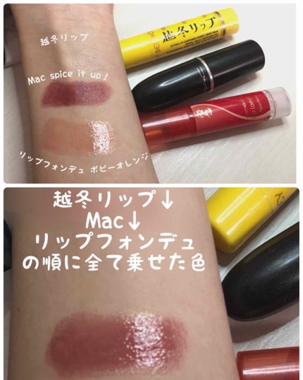 越冬リップ/ビーハニー/リップクリームを使ったクチコミ(3枚目)