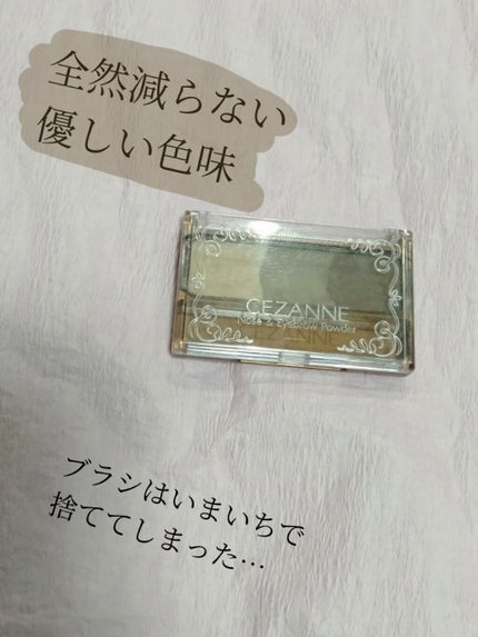 ノーズ&アイブロウパウダー/CEZANNE/パウダーアイブロウを使ったクチコミ(1枚目)
