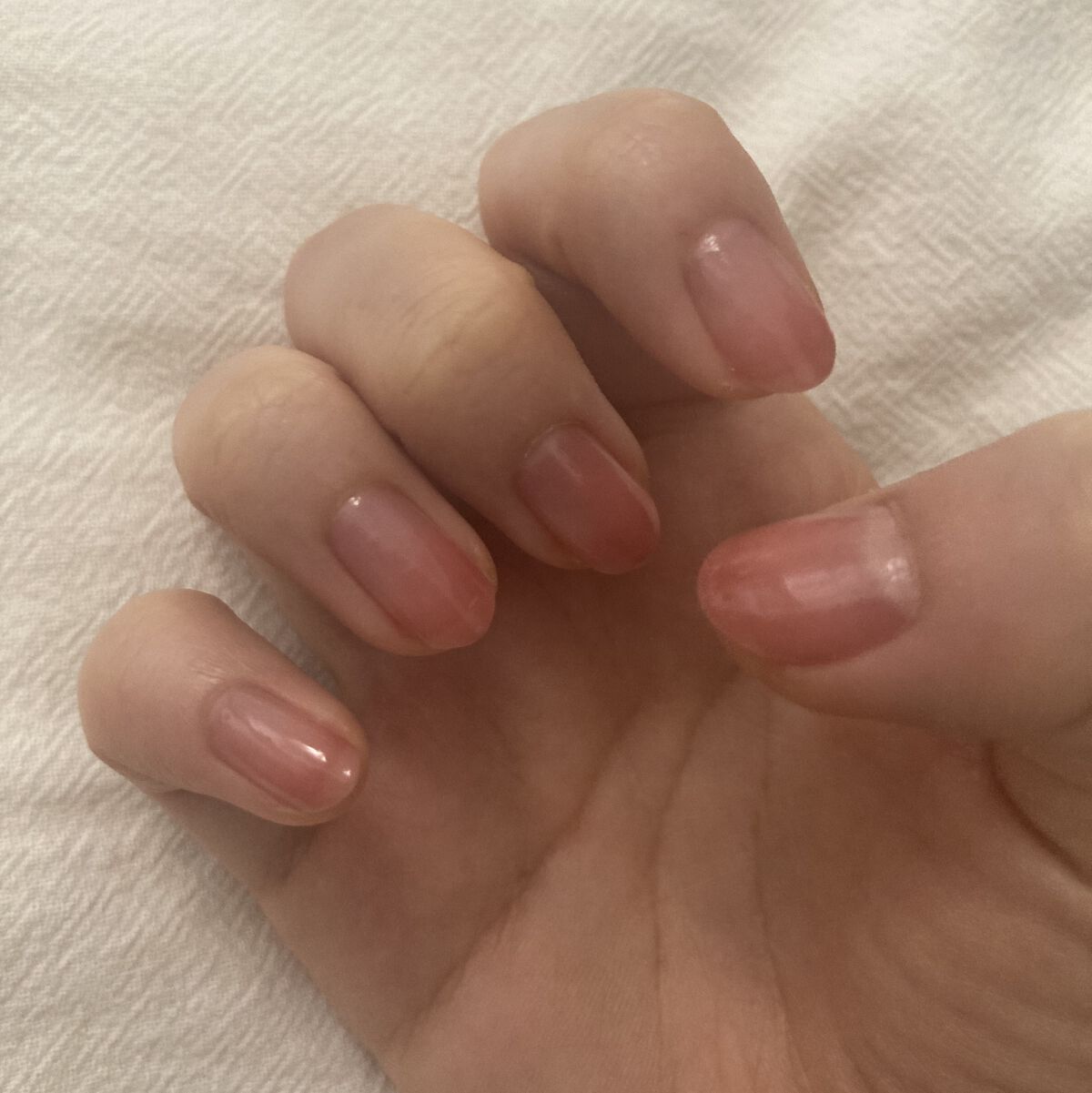 ファンデーションカラーズ/キャンメイク/マニキュアを使ったクチコミ（2枚目）