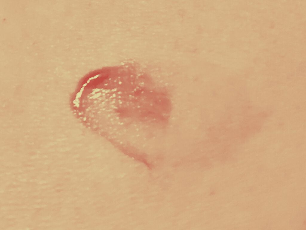 ドラマティックリップティント/マキアージュ/リップティントを使ったクチコミ（2枚目）