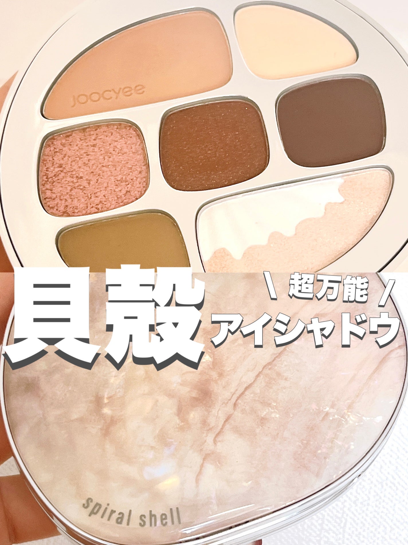 貝殻マルチパレット/MAFFICK/アイシャドウパレットを使ったクチコミ(1枚目)