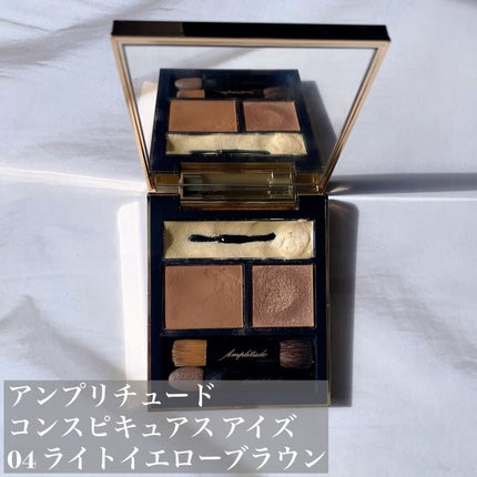 コンスピキュアス アイズ/Amplitude/アイシャドウパレットを使ったクチコミ(2枚目)