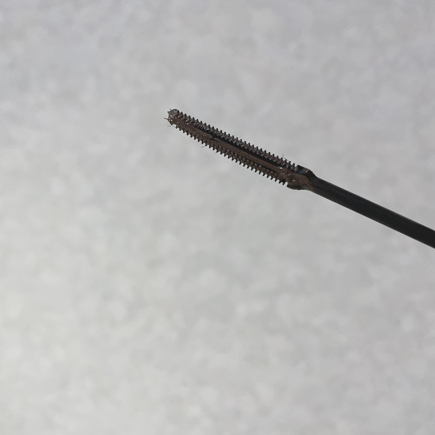 耐久カールマスカラ 04 グレージュ/CEZANNE/マスカラを使ったクチコミ（2枚目）