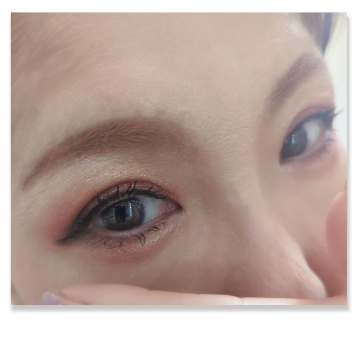 アニマルアイシャドウ(4シェード)/ZEESEA/アイシャドウパレットを使ったクチコミ（2枚目）