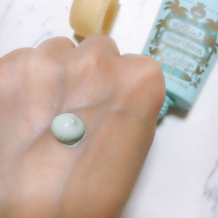 スキンナビゲートカラー/MAJOLICA MAJORCA/化粧下地を使ったクチコミ(3枚目)