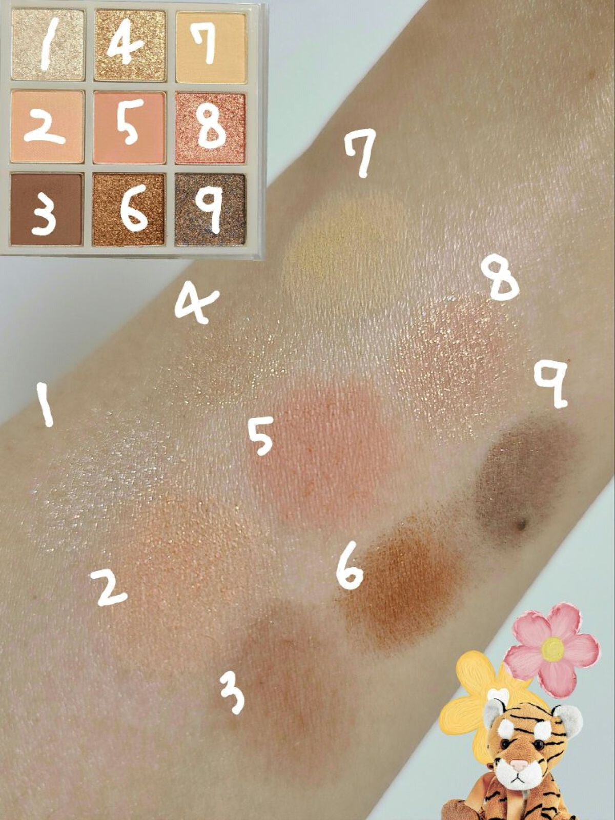 ムジークタイガープレイカラーアイズ/ETUDE/アイシャドウパレットを使ったクチコミ(2枚目)