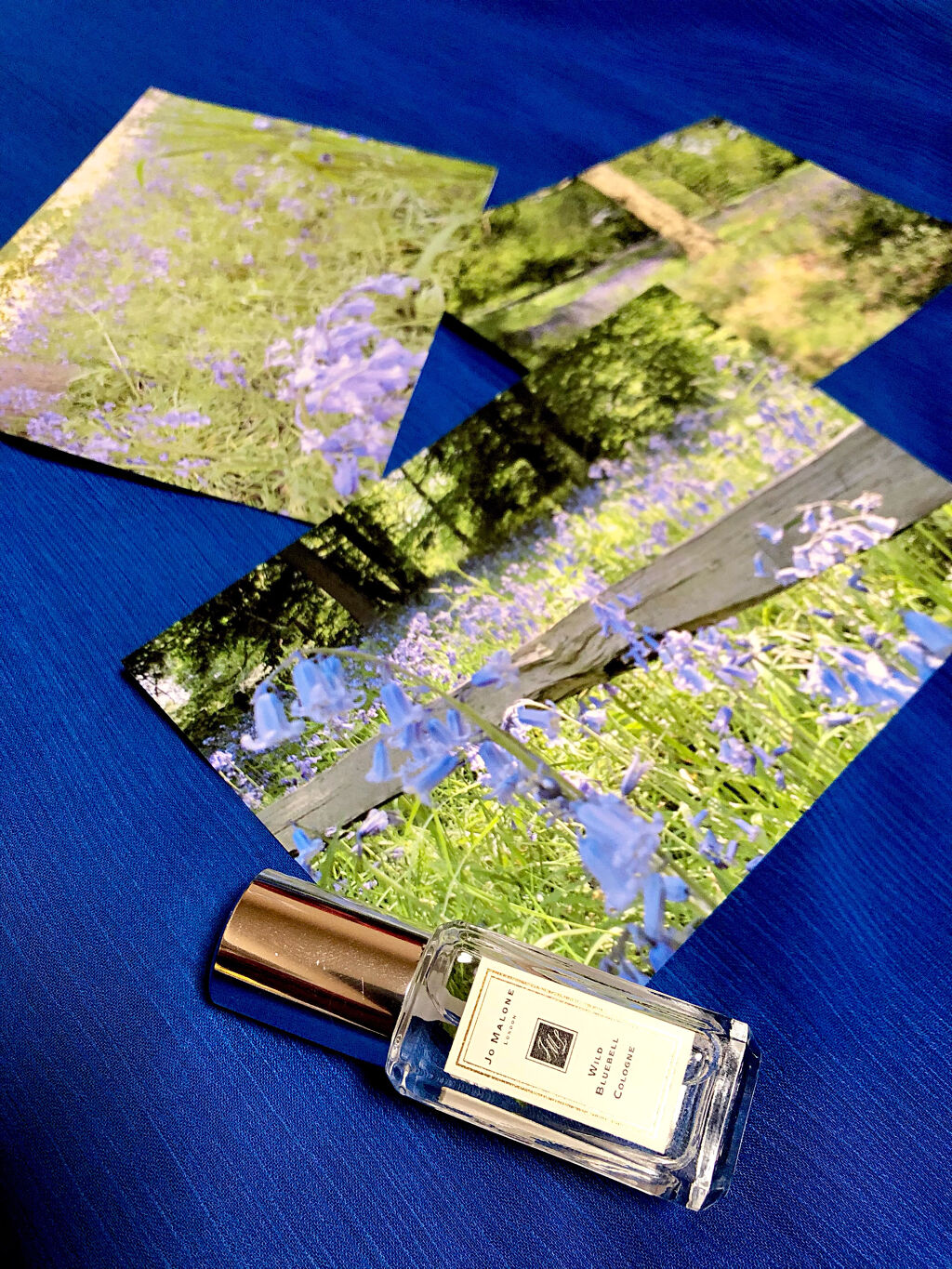 ワイルド ブルーベル コロン/Jo MALONE LONDON/香水(レディース)を使ったクチコミ（3枚目）