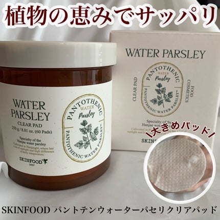 パントテン ウォーターパセリ クリアパッド/SKINFOOD/トナーパッドを使ったクチコミ(1枚目)