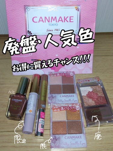 2000円出してお釣りが来る……！CANMAKE福袋を買いました！

一応下の方に何の何色が入ってるか書いてありましたが適当に買ったので大当たりで（自分的に）嬉しいです！


おそらく色の系統は袋内で統