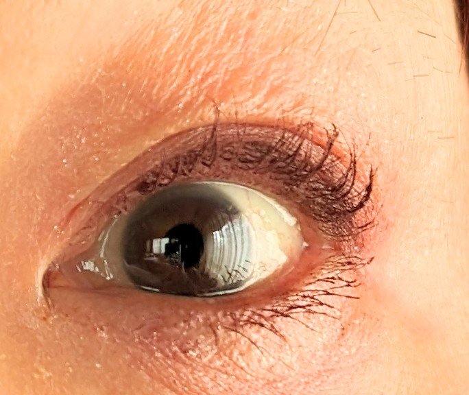 ジューシーピュアアイズ/キャンメイク/アイシャドウパレットを使ったクチコミ（2枚目）