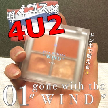 アイシャドウパレット/4U2/パウダーアイシャドウを使ったクチコミ（1枚目）