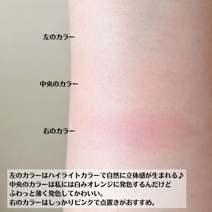 スキンフィットチーク/リサージ/パウダーチークを使ったクチコミ(6枚目)