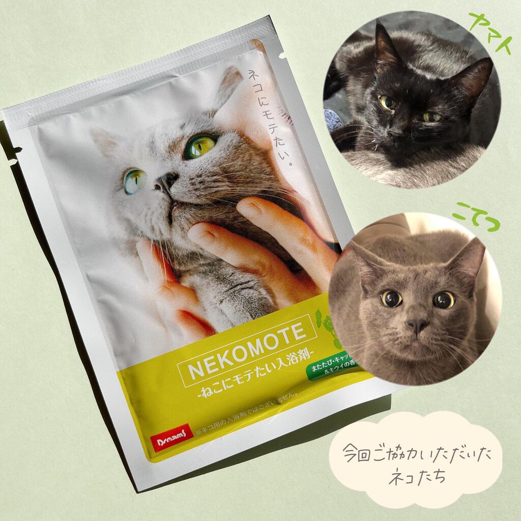 小針桃奈 on LIPS 「.猫好きさん、これ知ってますか?▷dreams NEKO..」(5枚目)