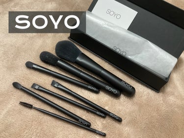 SOYO　メイクブラシ7本セット
　19,800円


去年の暮れに購入を迷ってたら数時間で売り切れ。
縁がなかったと思い諦めてたけど
最後の再販で購入できた。SOYOブラシ。

毛は人工毛なのでお手入