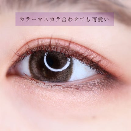 グロッシーリッチ アイズ N/Visée/アイシャドウパレットを使ったクチコミ(6枚目)