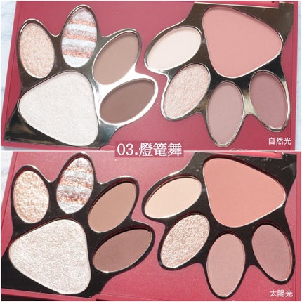 トラ十色アイシャドウパレット/COLORKEY/アイシャドウパレットを使ったクチコミ(6枚目)