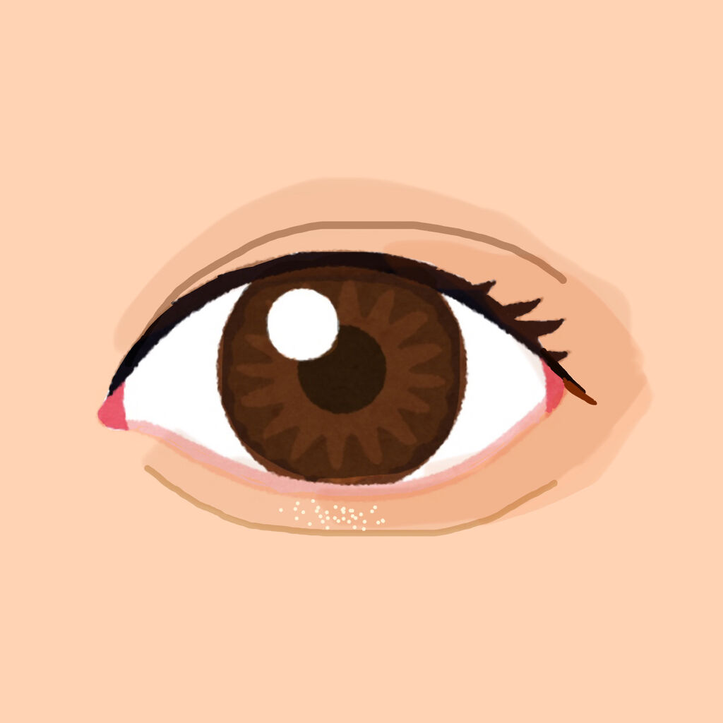 トーン ペタル アイシャドウ/to/one/アイシャドウパレットを使ったクチコミ（2枚目）