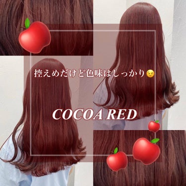 🐬みずな/美容師🐬 on LIPS 「【秋カラー】CocoaRed🍎❤️🍓🍒🍉ブリーチなしダブルカラ..」（1枚目）