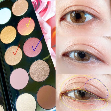 Mother Ship VII Divine Rose /PAT McGRATH LABS/アイシャドウパレットを使ったクチコミ(1枚目)