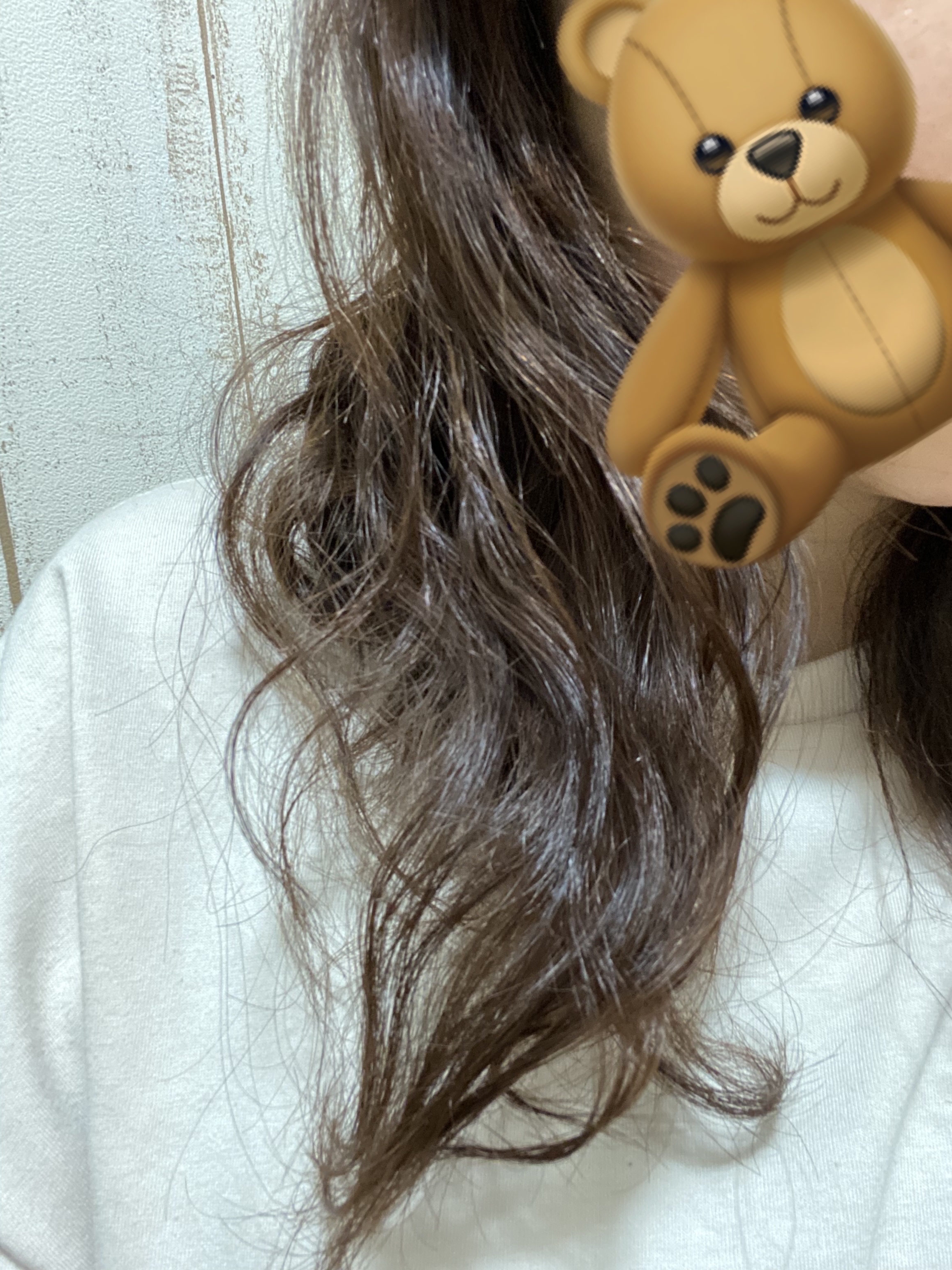 ヘアビューロン4D Plus[ストレート]/Bioprogramming/ストレートアイロンを使ったクチコミ（2枚目）