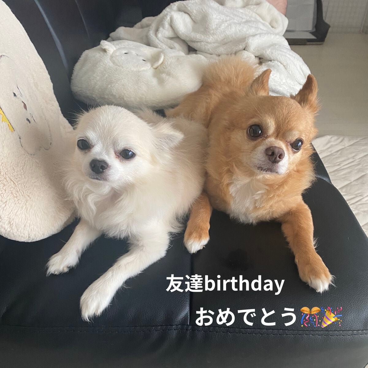 【旧】ミス ディオール ヘア ミスト/Dior/ヘアミストを使ったクチコミ(6枚目)