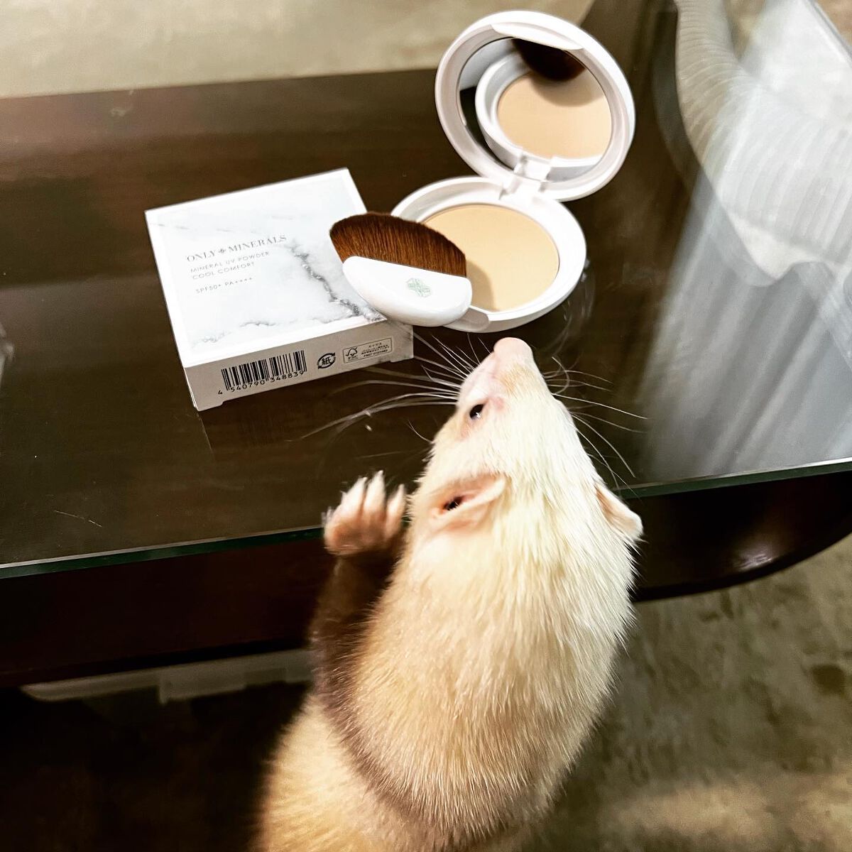 ミネラルUVパウダーN クールコンフォート/ONLY MINERALS/プレストパウダーを使ったクチコミ（2枚目）