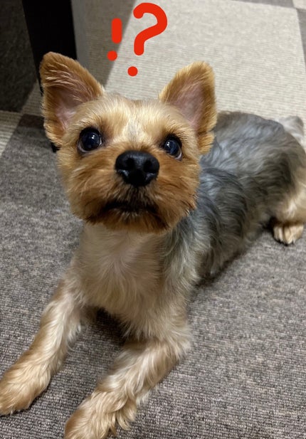 アイプランナーパレット/excel/アイシャドウパレットを使ったクチコミ(3枚目)