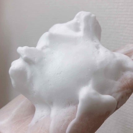 パーフェクトホワイトクレイ/SENKA(専科)/洗顔フォームを使ったクチコミ(2枚目)