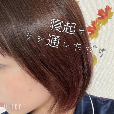 『日本限定』　ヘアーオイル【レディシャイニー】/ellips/ヘアオイルを使ったクチコミ（5枚目）