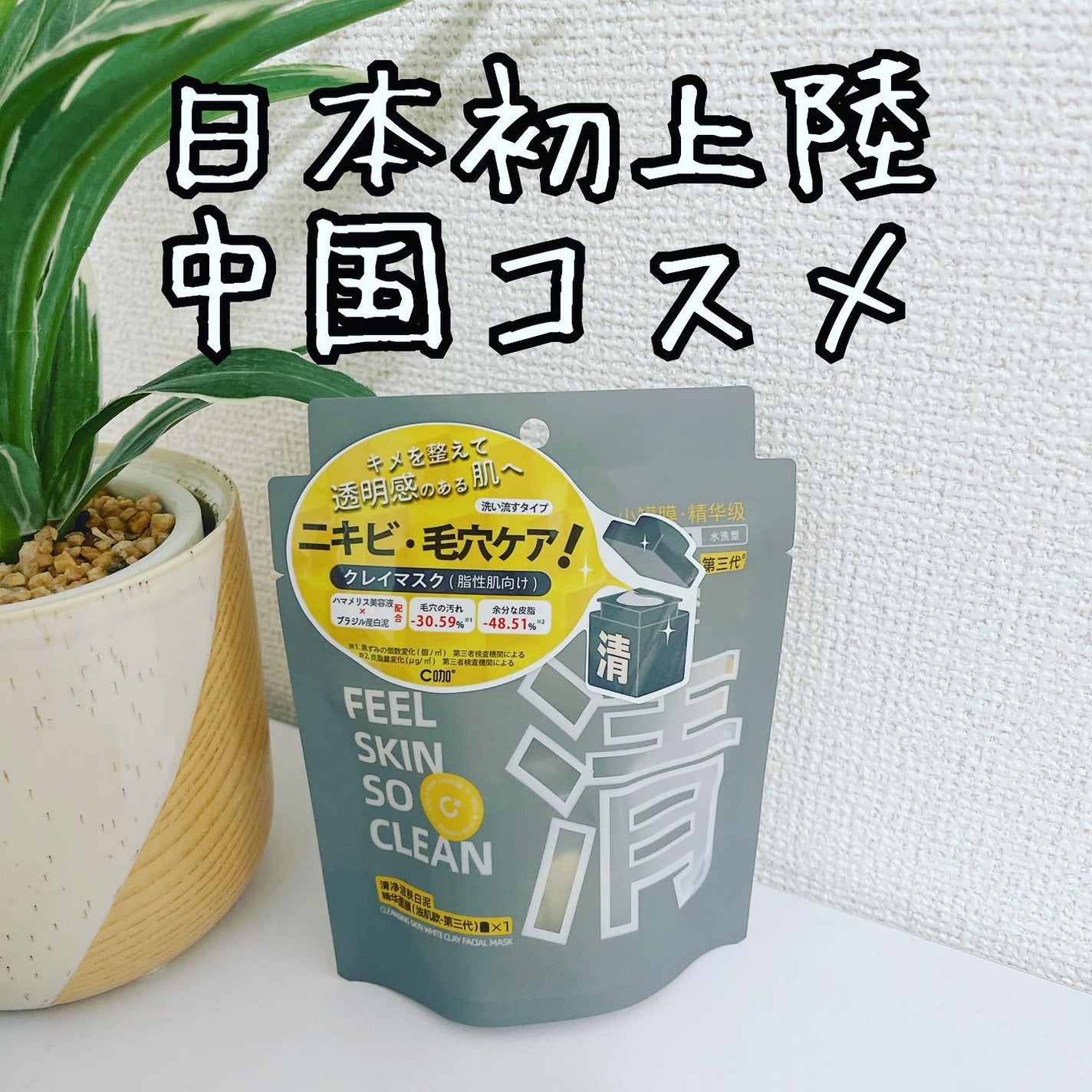 クレイパック 清 ダークグレー(さっぱり)/C+/洗い流すパック・マスクを使ったクチコミ(1枚目)