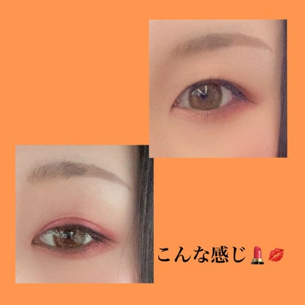 シナモン ベア メイクアップ コレクション/Too Faced/アイシャドウパレットを使ったクチコミ(3枚目)